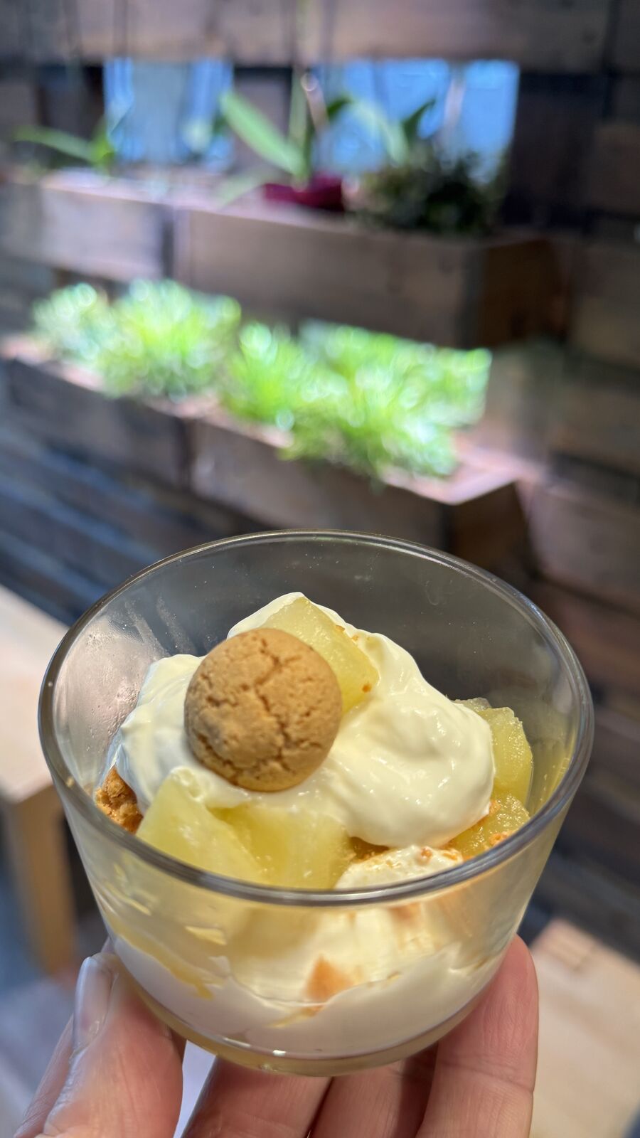 Dessert im Glas mit Ananas, Creme und Gebäckstück