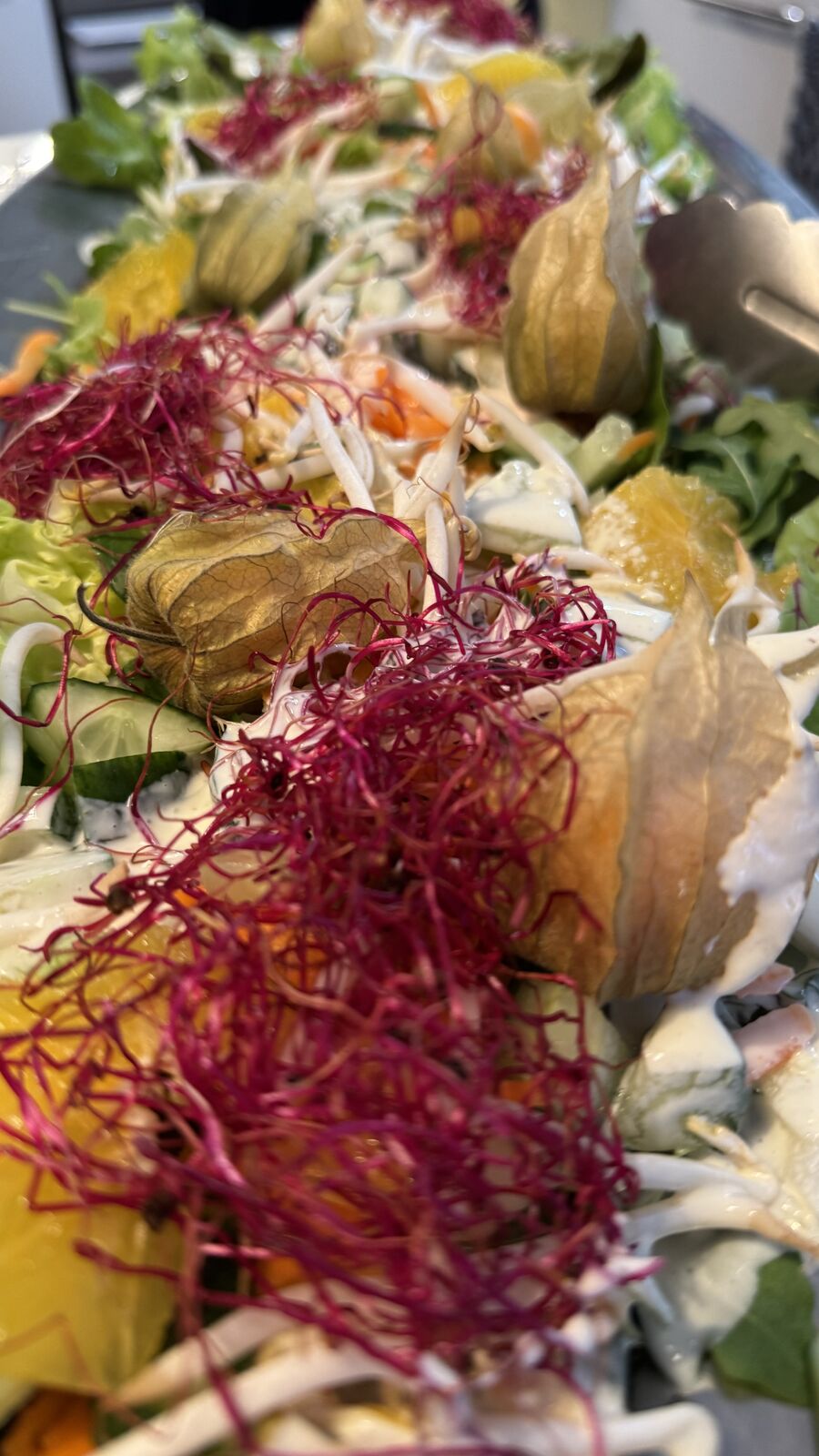 Buntes Salatbuffet mit Physalis und Sprossen, nah aufgenommen.