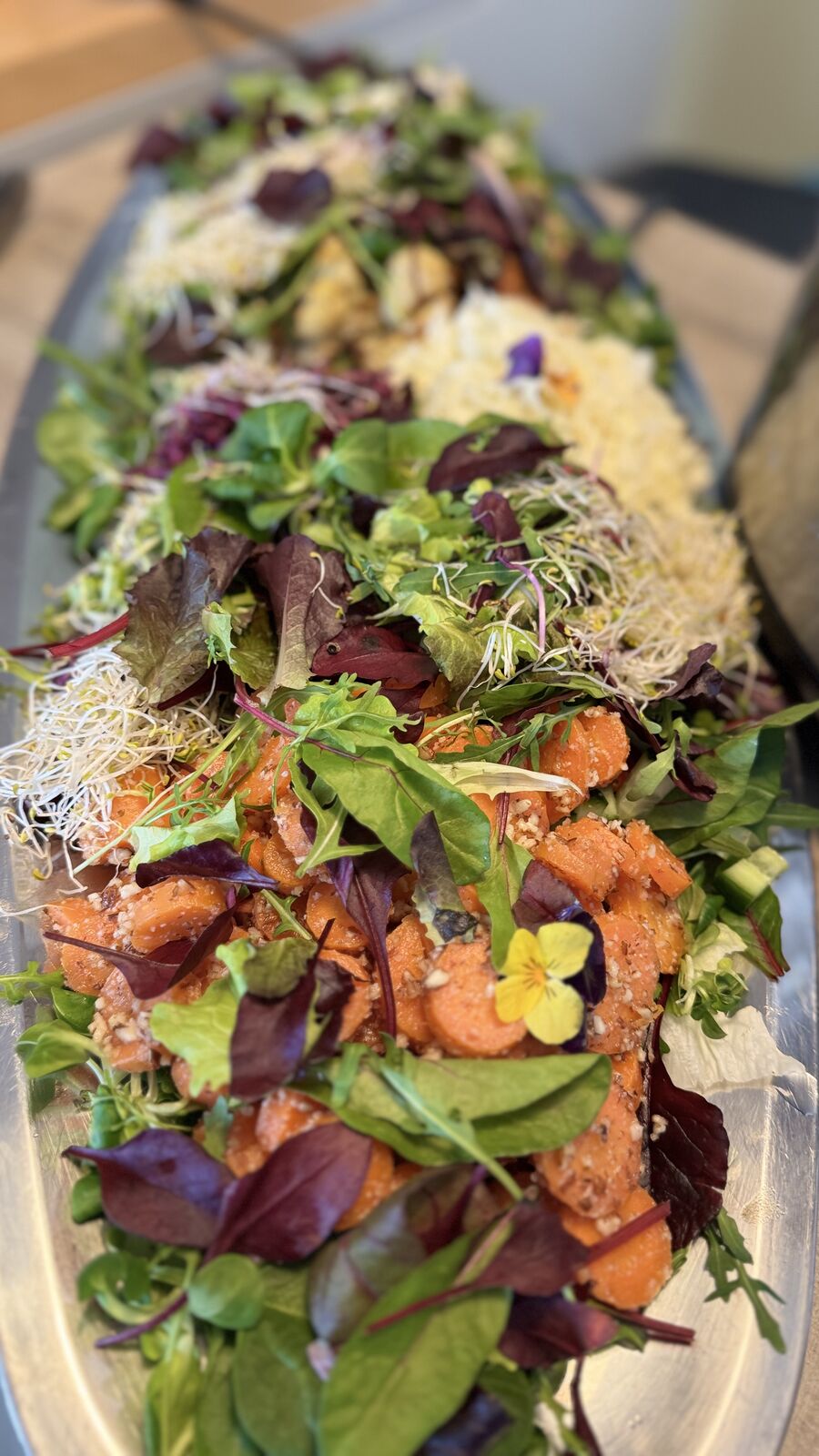 Buntes Salatbuffet mit verschiedenen Salatsorten, Karotten und Sprossen