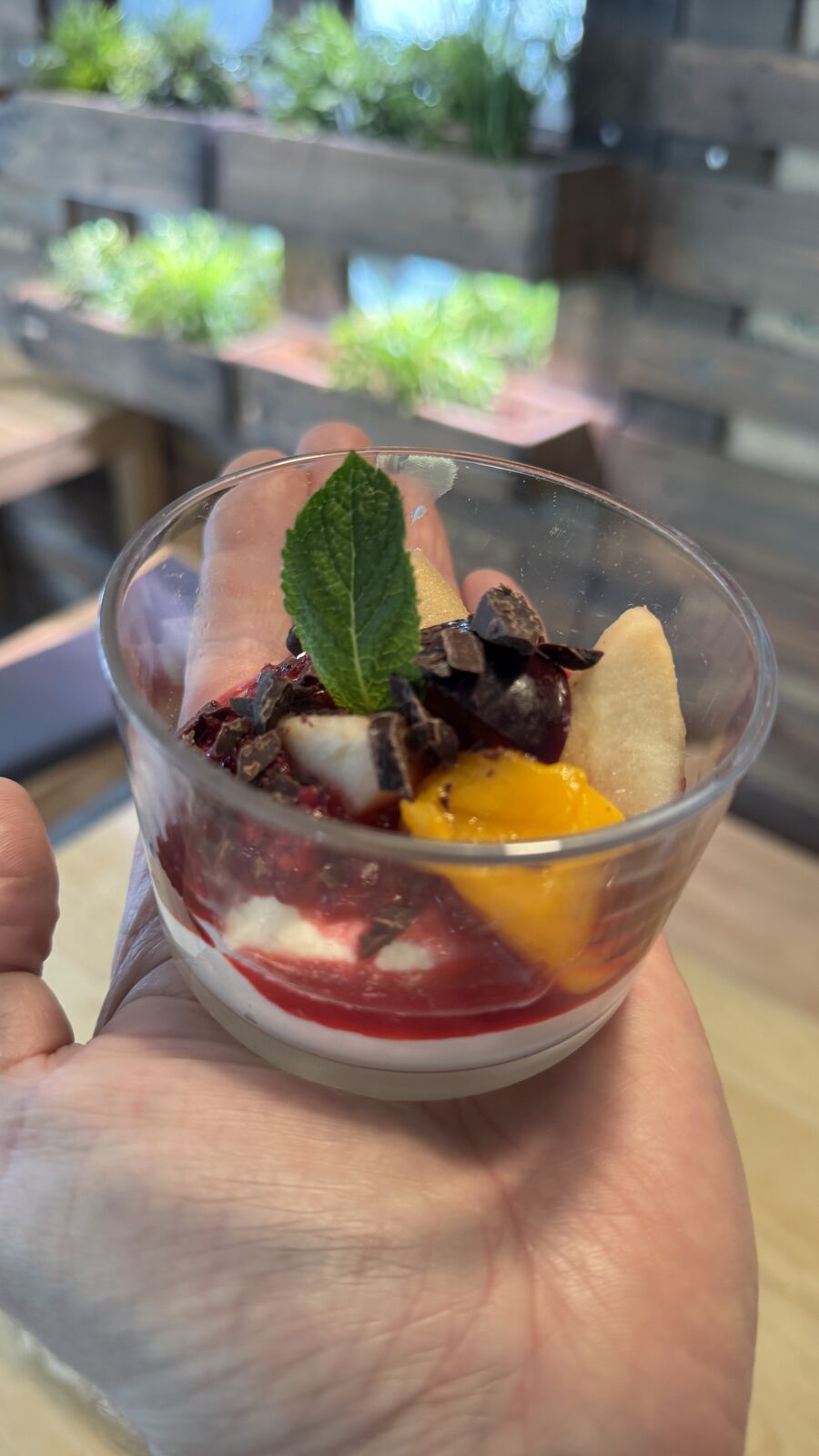 Dessert im Glas mit Beeren, Mango, Schokostückchen und Minze, in Hand gehalten