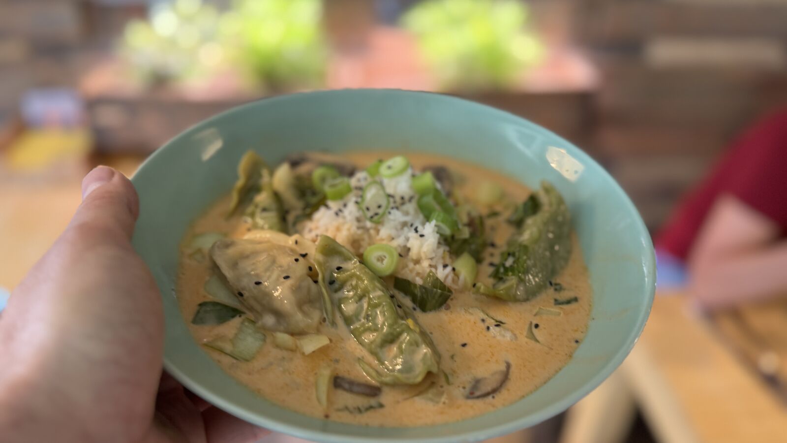 Curry mit Dumplings, Reis und Frühlingszwiebeln in einer Schale. Eine Hand hält die Schale.
