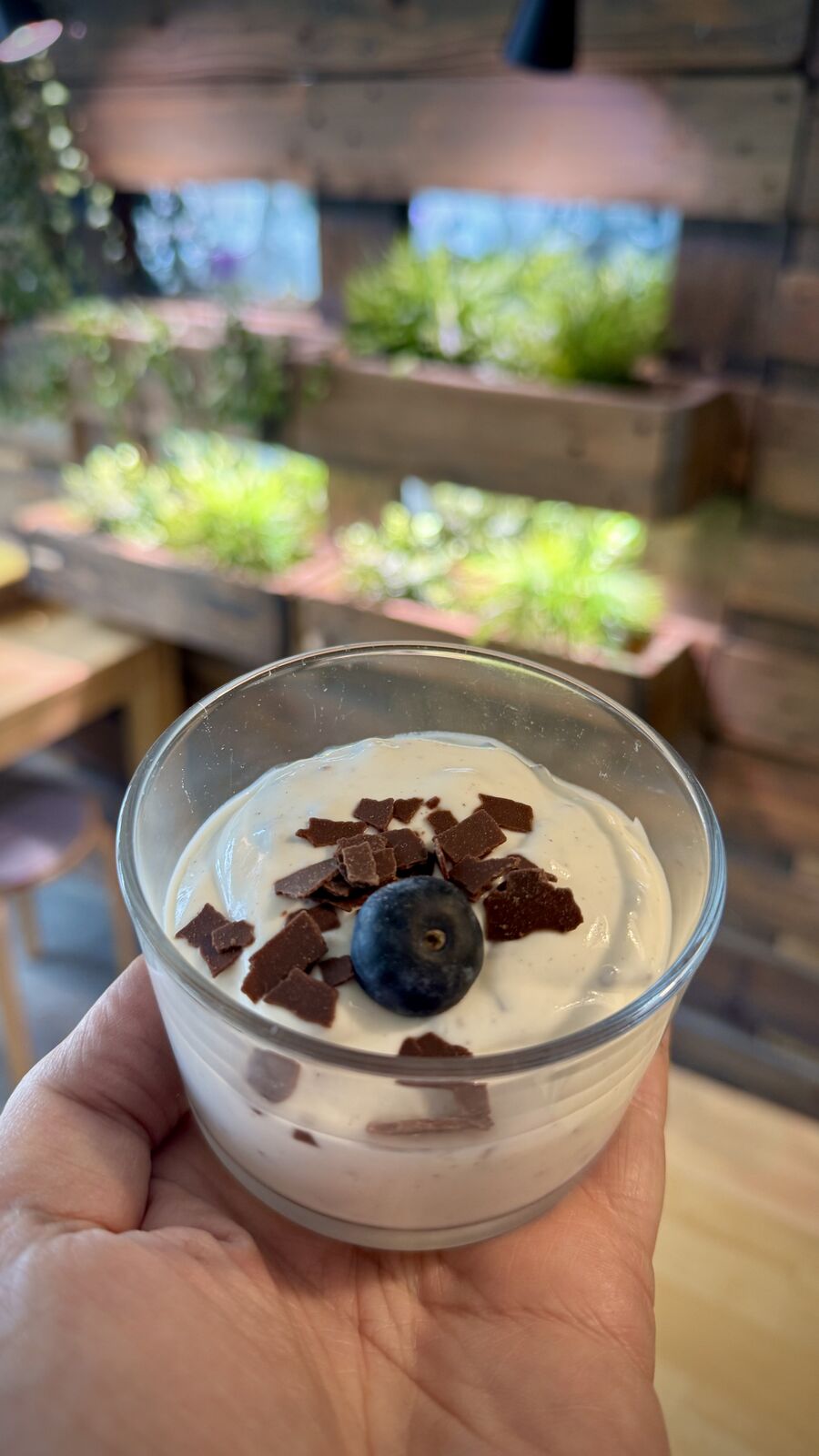 Dessert im Glas mit Creme, Schokostückchen und Blaubeere auf der Hand
