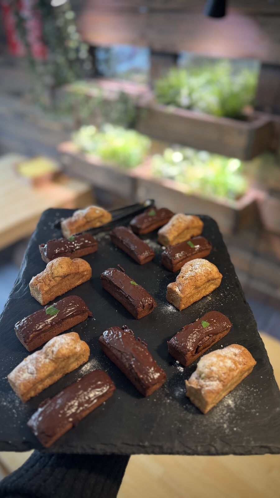 Kleine Schokoladenkuchen und Financiers auf einer schwarzen Schieferplatte, teilweise mit Minze garniert.
