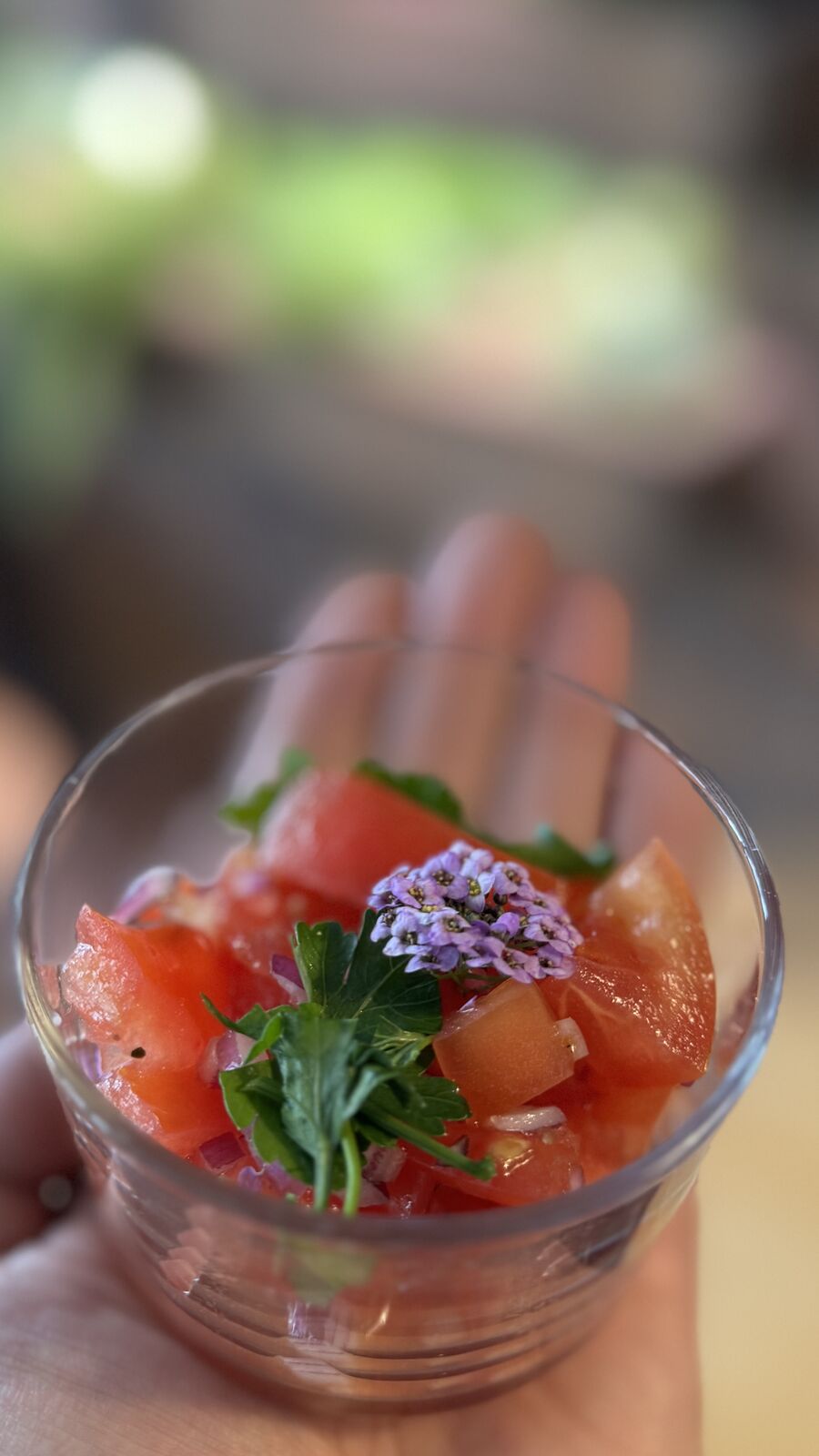 Tomatensalat mit Zwiebeln, frischen Kräutern und essbaren Blüten