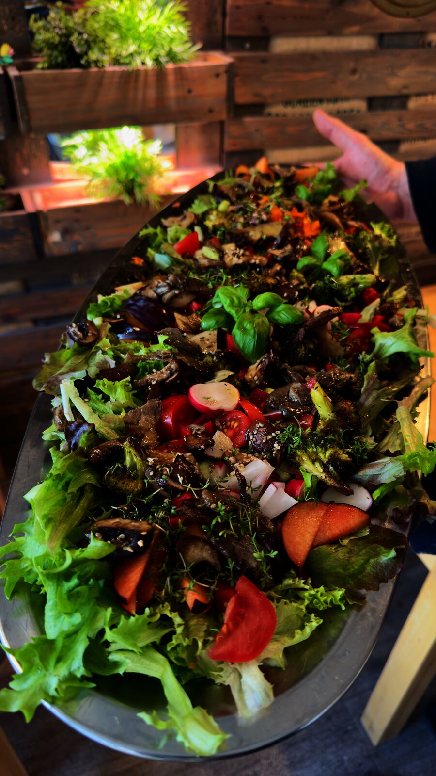 Große Platte mit Blattsalaten, Tomaten, Radieschen, Pilzen und Kräutern mit Dressing.