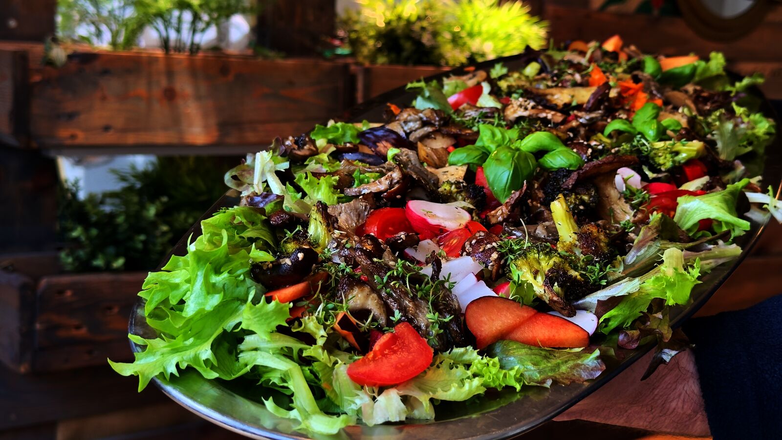 Große Platte mit vielseitigem Salat, grünen Blättern, Tomaten, Radieschen, Pilzen und Kräutern.