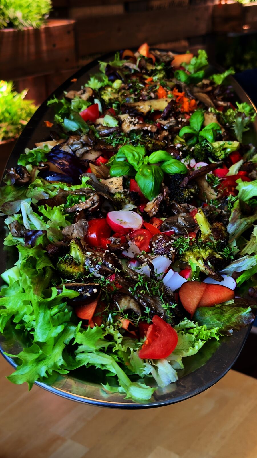 Bunter Salat mit Blattsalat, Tomaten, Radieschen, Brokkoli, Pilzen und Basilikum.