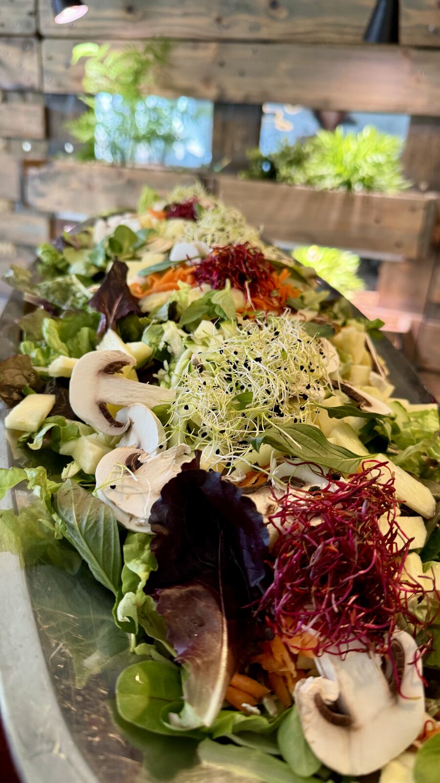 Buntes Salatbuffet mit Pilzen, Sprossen und Blattsalaten.
