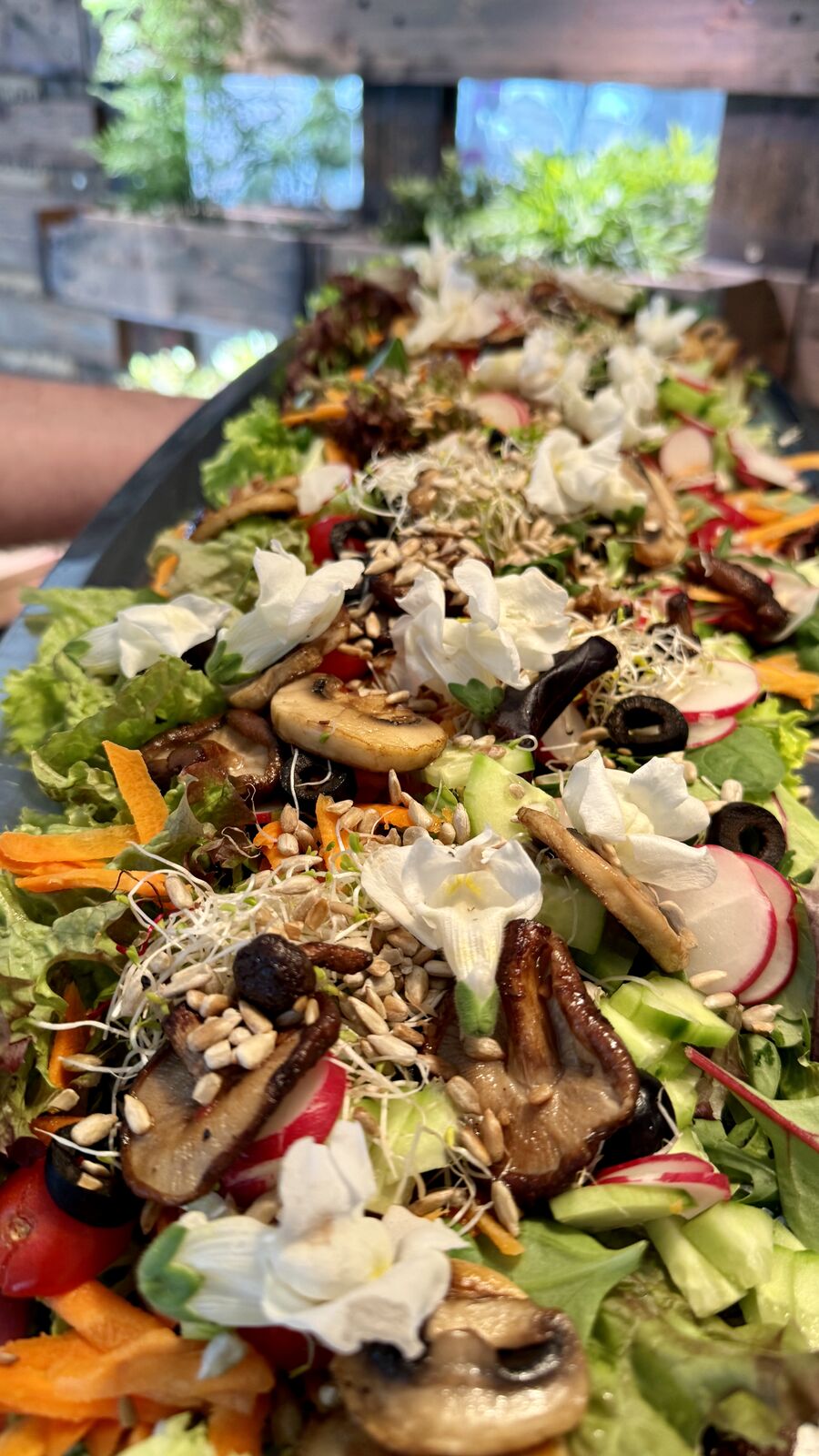 Bunter Salat mit Pilzen, Radieschen, Oliven und Sonnenblumenkernen angerichtet.