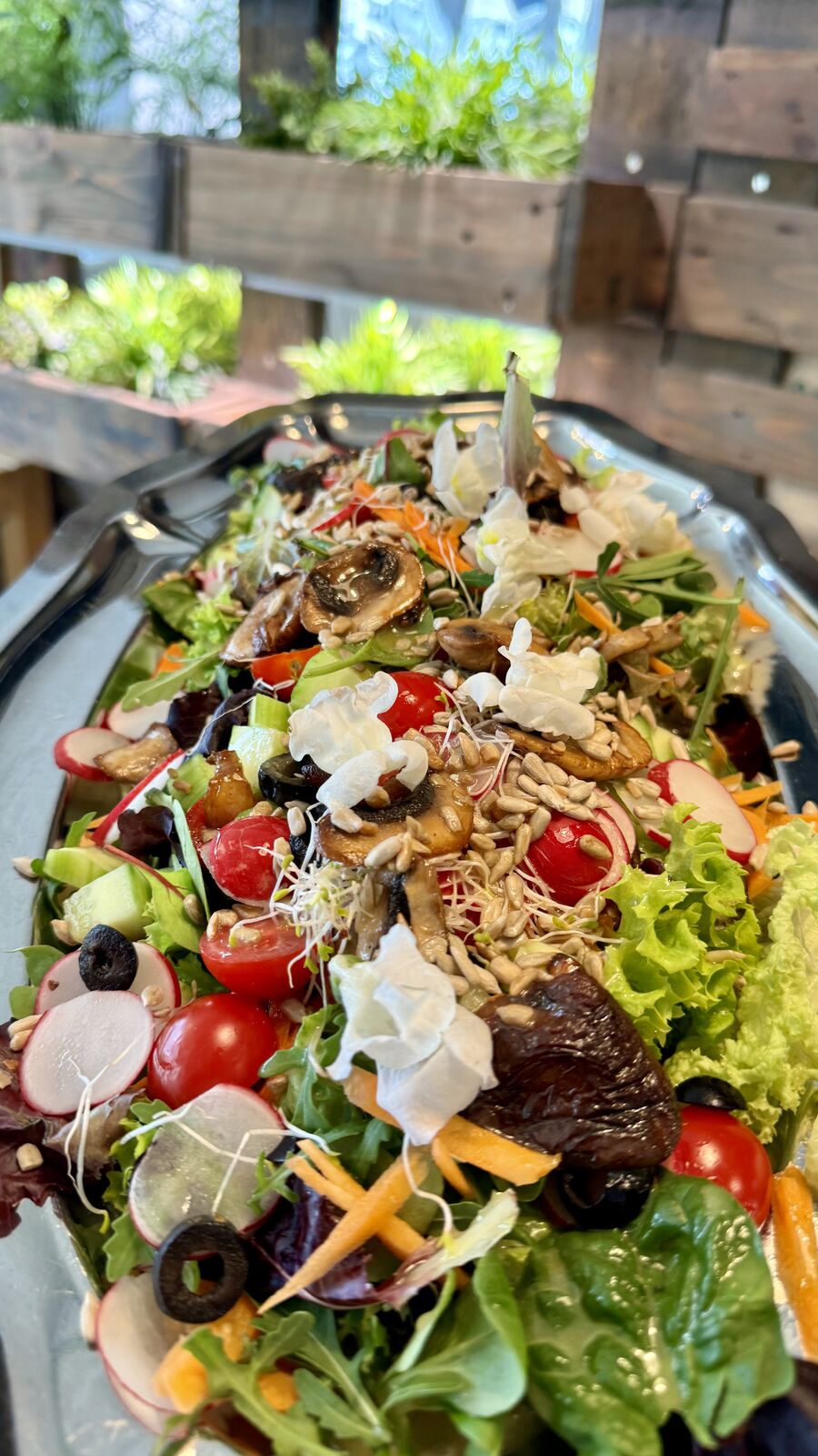 Bunter Salat mit verschiedenen Blattsalaten, Tomaten, Pilzen, Radieschen und Kernen.