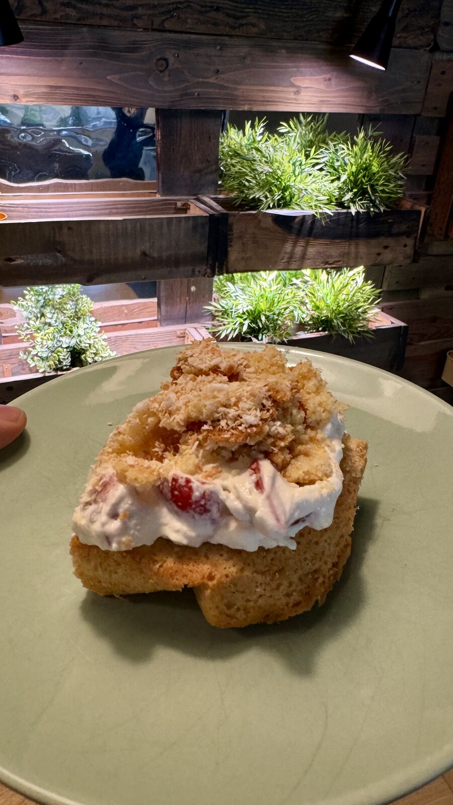 Dessert aus Biskuit, Sahne und Früchten, mit Streuseln