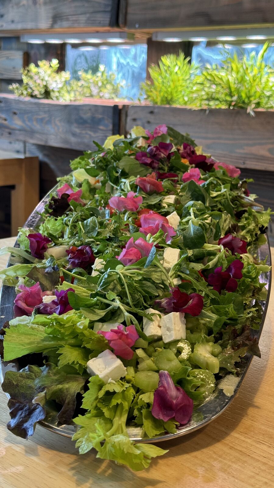 Bunter Salat angerichtet auf einer großen ovalen Servierplatte mit Blumen und Fetakäse.