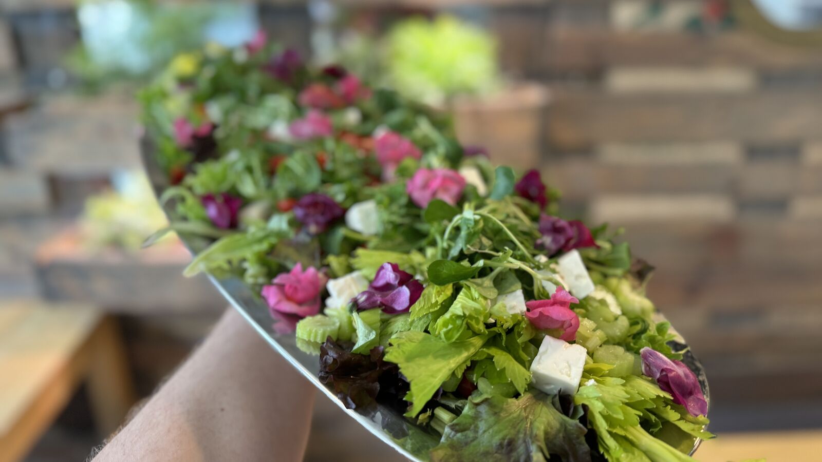 Bunter Salat mit Feta und essbaren Blüten auf einer Servierplatte