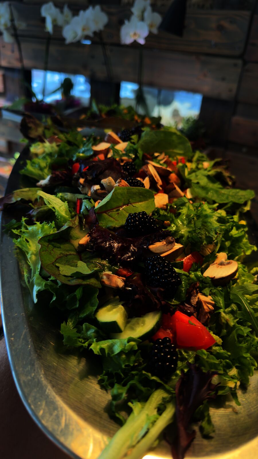 Gemischter grüner Salat mit Brombeeren, Pilzen und Tomaten in einer Catering-Schale.